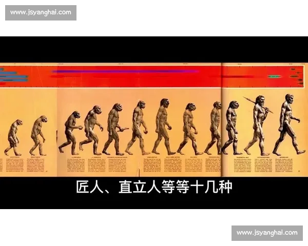 北京人vs现代智人：进化分岔与文明起源之争全解析深度研究图景